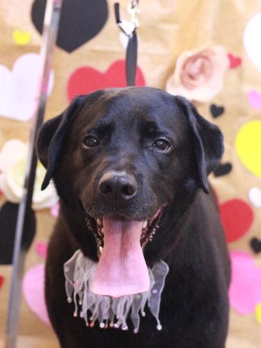 20230207こてつくん